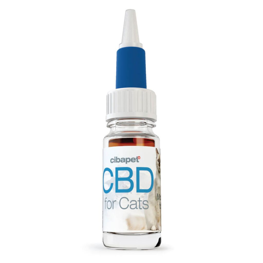 Cibdol CBD Öl Katzen 4%