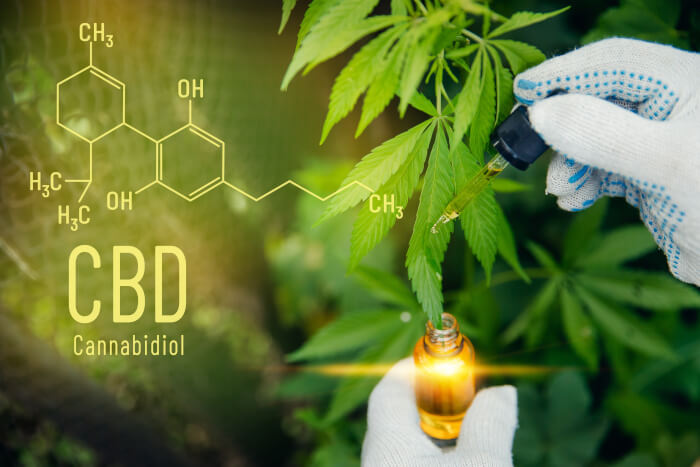 Was ist CBD Öl?