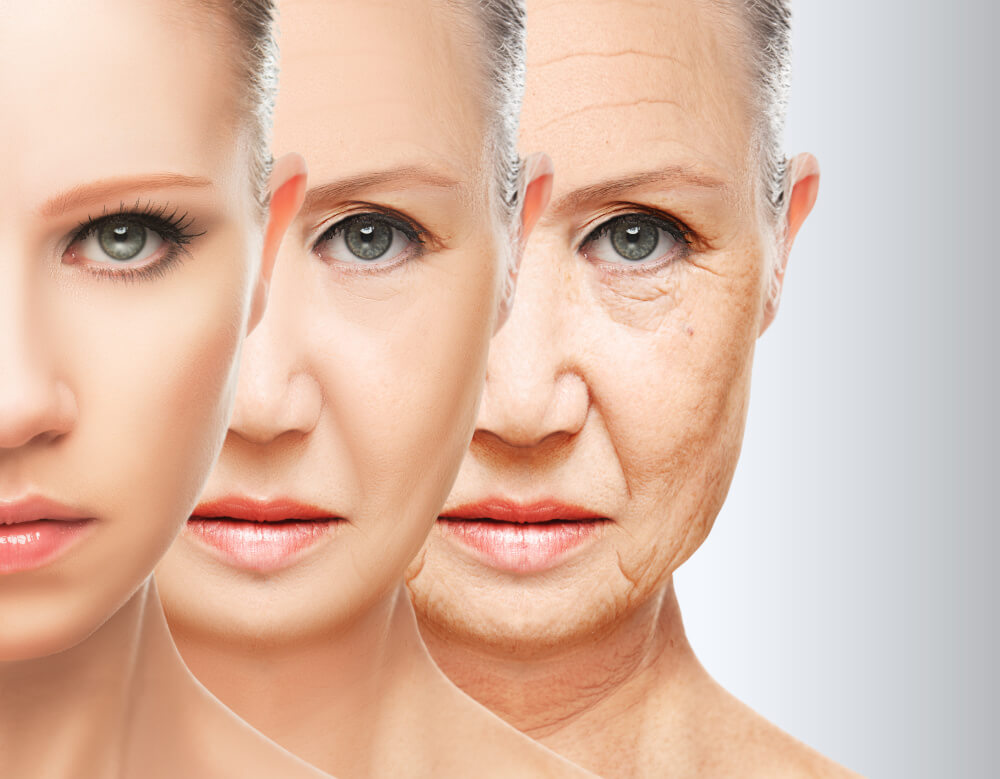 CBD Anti-Aging Vergleich