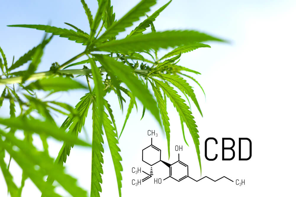 CBD in Kristallform