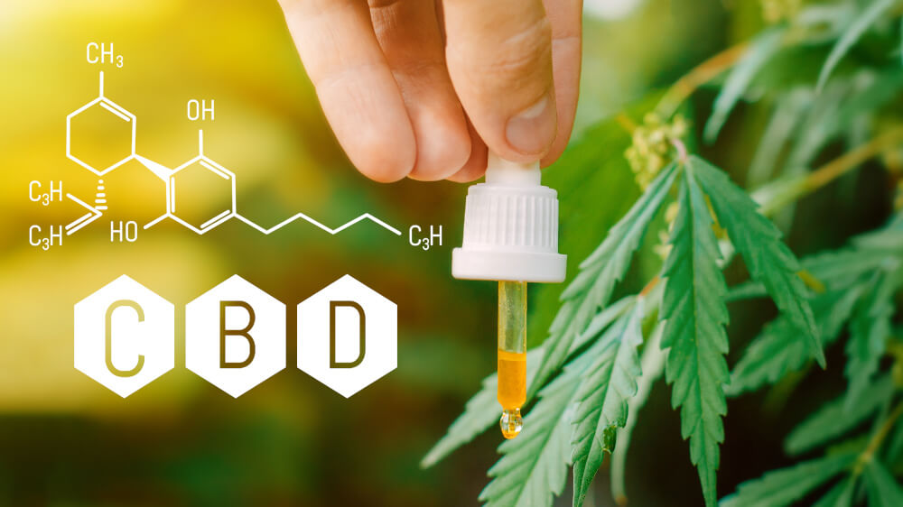 CBD Öl 10 Prozent